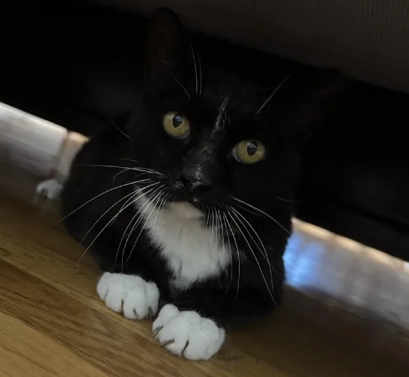 Nike  Goddess Of thumbnail 3