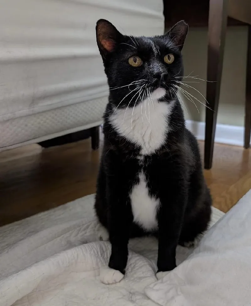 Nike  Goddess Of thumbnail 4