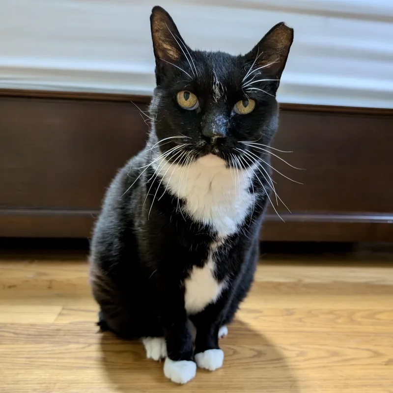 Nike  Goddess Of thumbnail 5