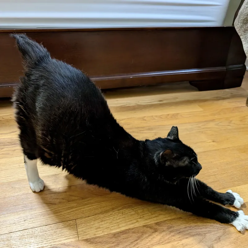 Nike  Goddess Of thumbnail 6