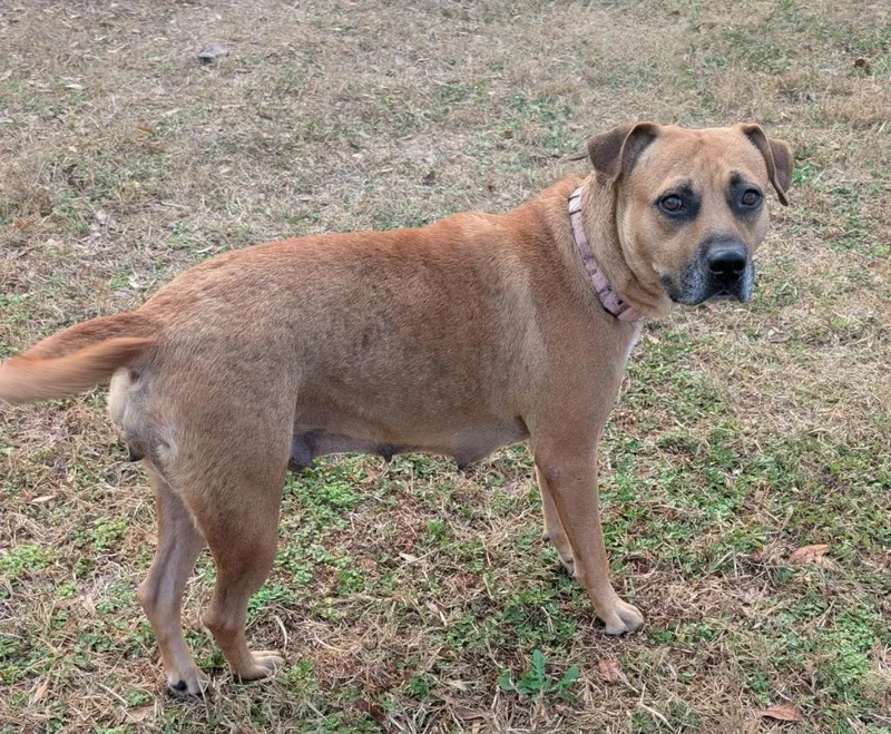 Sunsetmama's Turn For A thumbnail 2