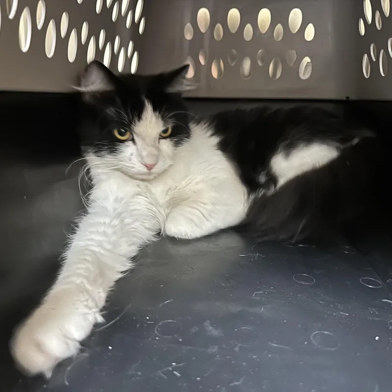 Hunnybun thumbnail 2