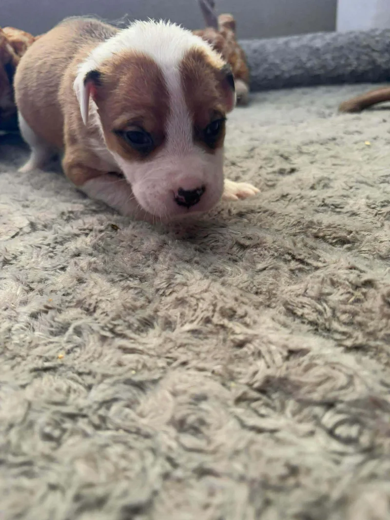 Mediterranean thumbnail 2