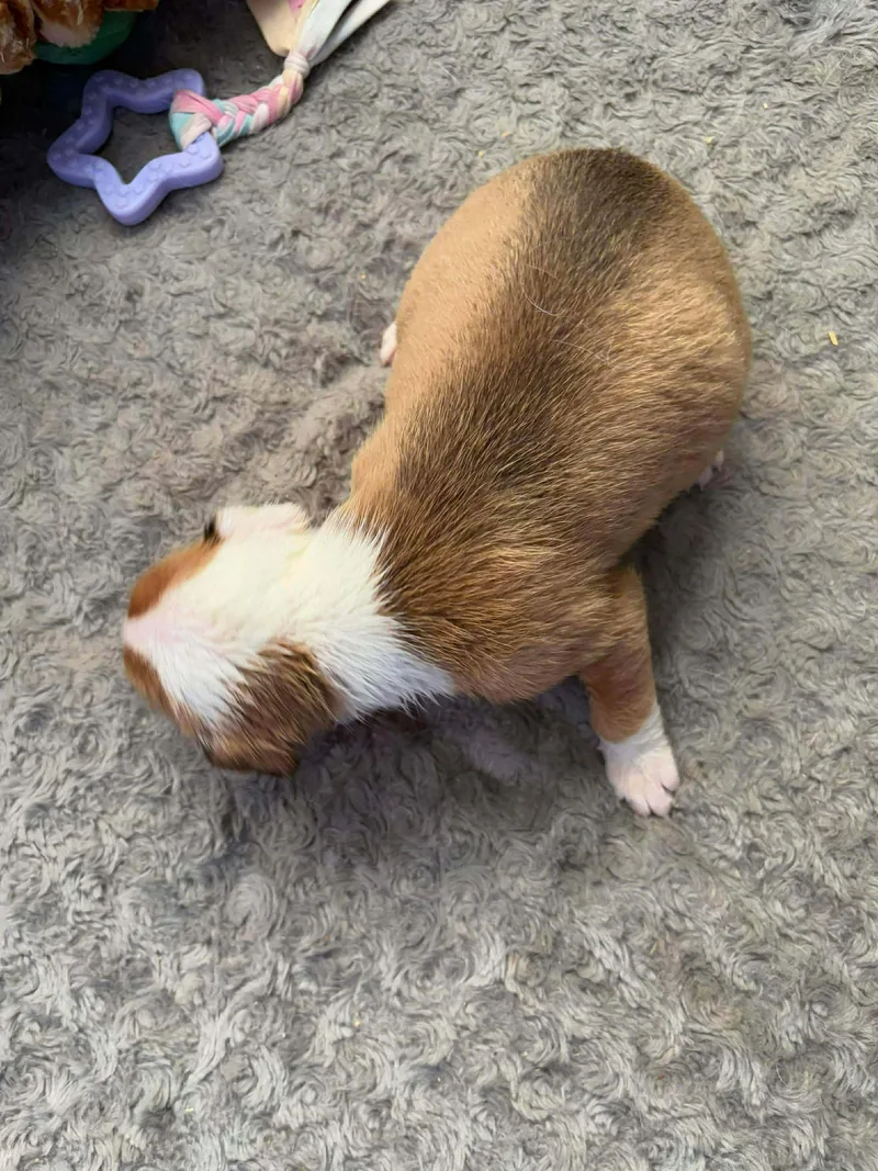 Mediterranean thumbnail 3