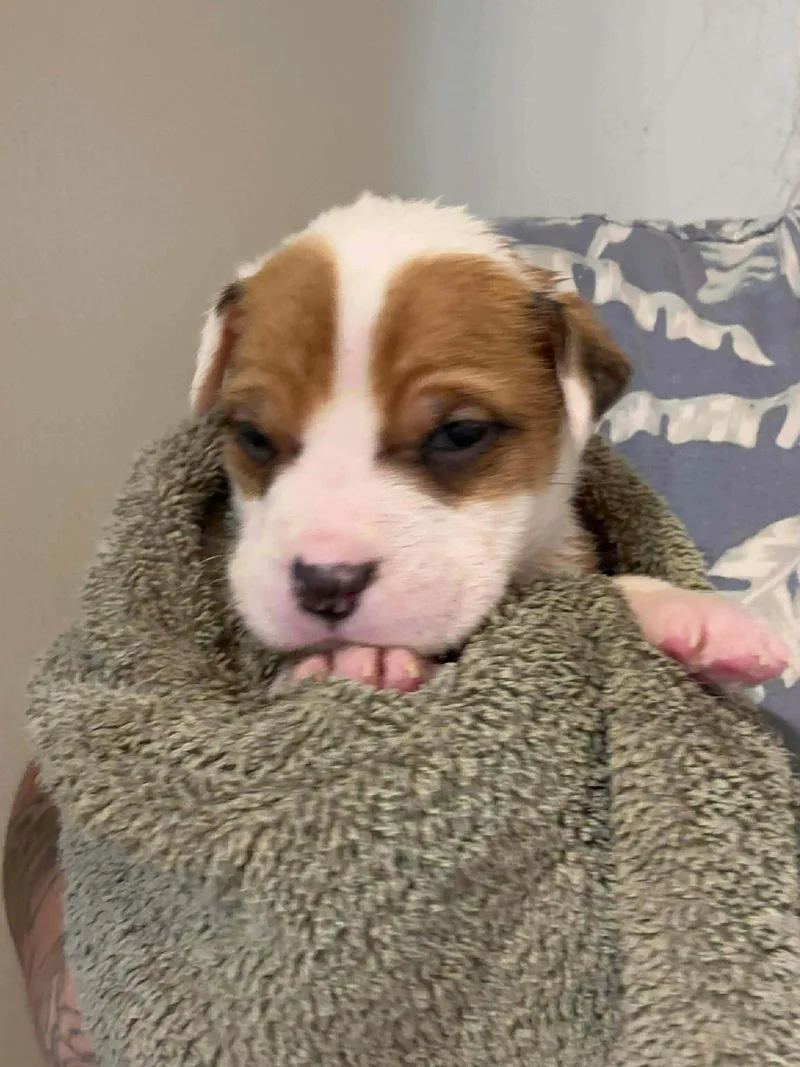 Mediterranean thumbnail 4