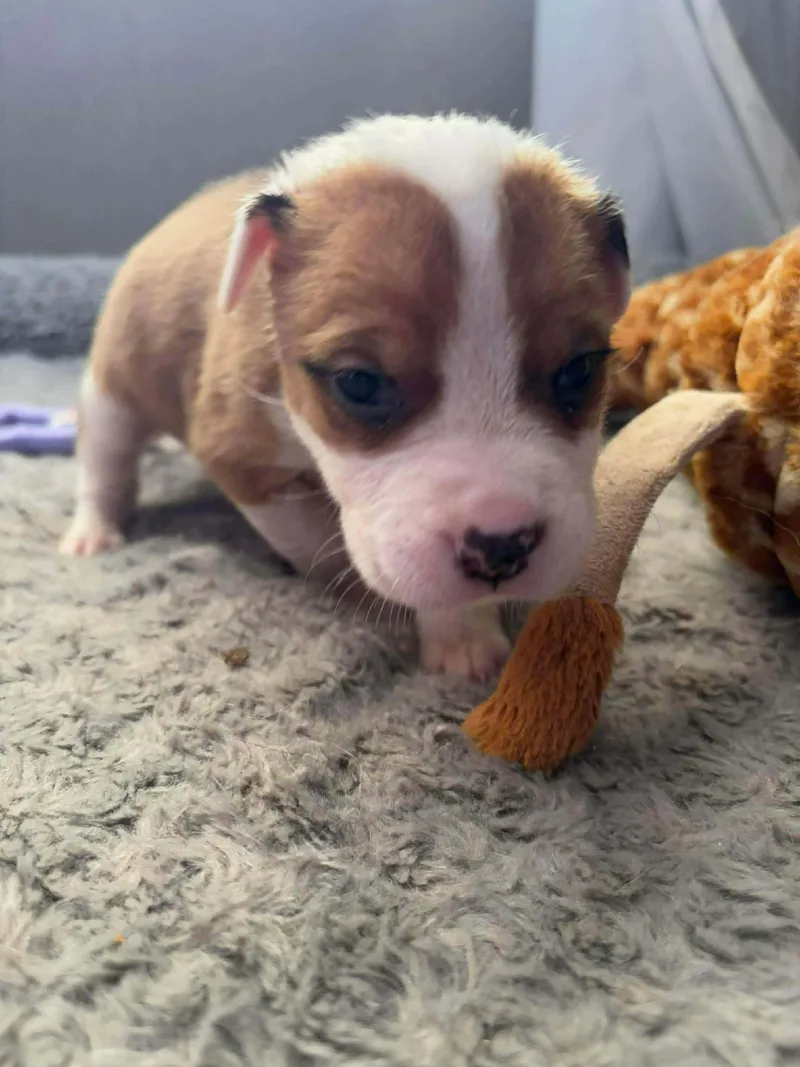 Mediterranean thumbnail 5