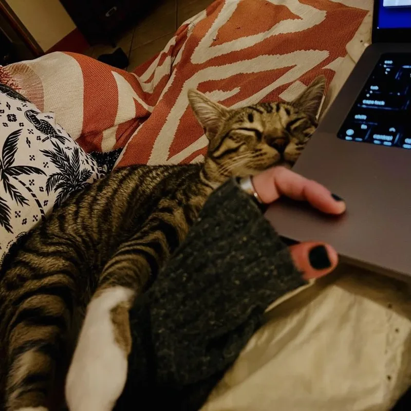 Ruby  Home To thumbnail 2