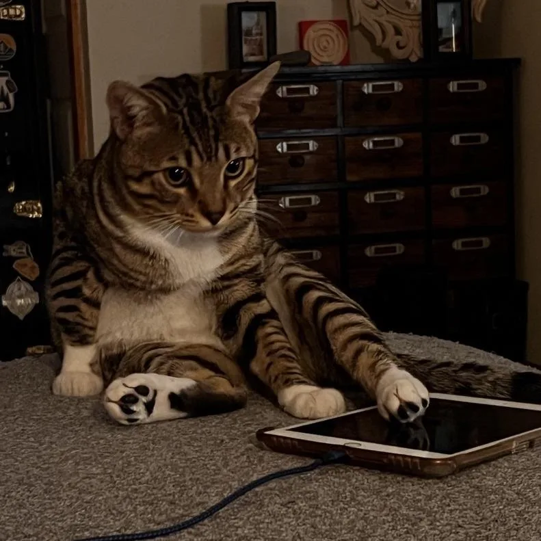 Ruby  Home To thumbnail 3