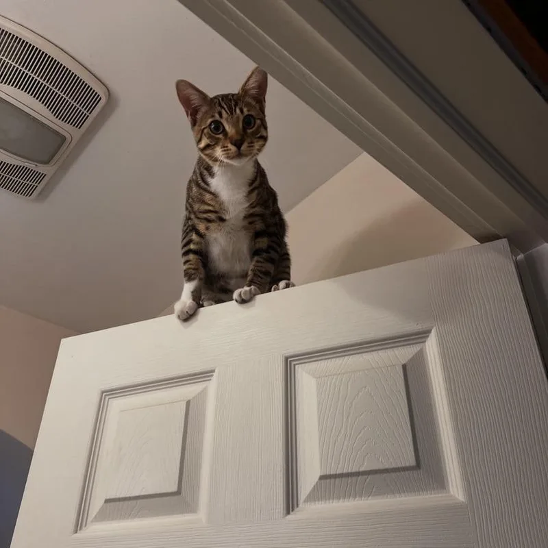 Ruby  Home To thumbnail 4