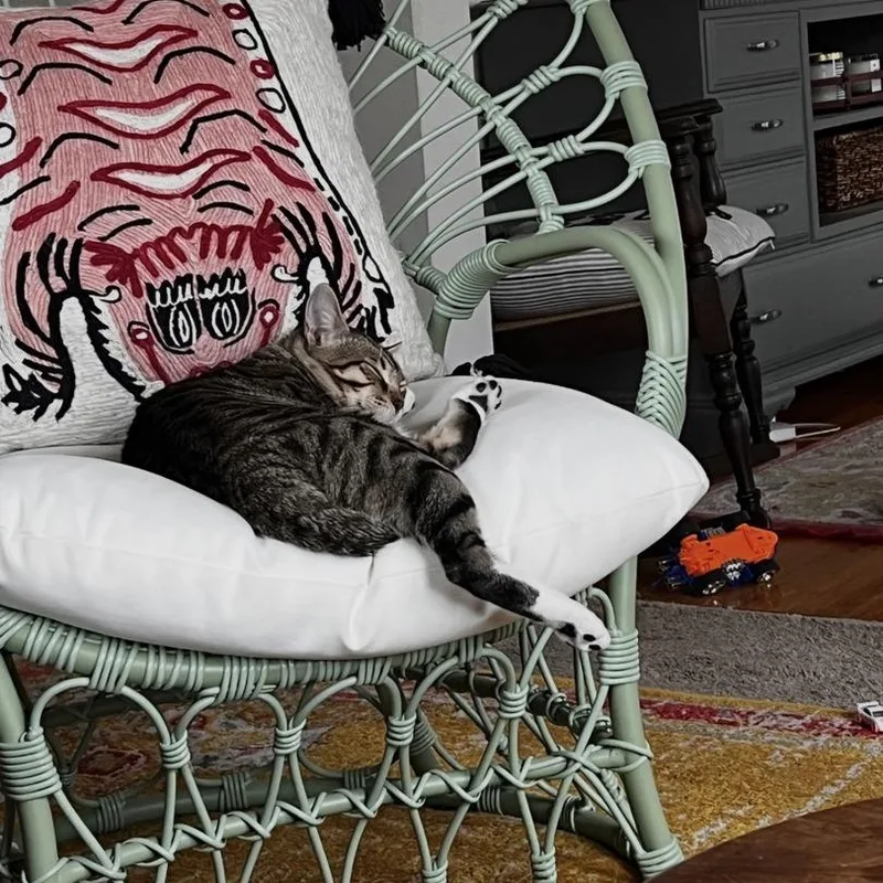 Ruby  Home To thumbnail 5