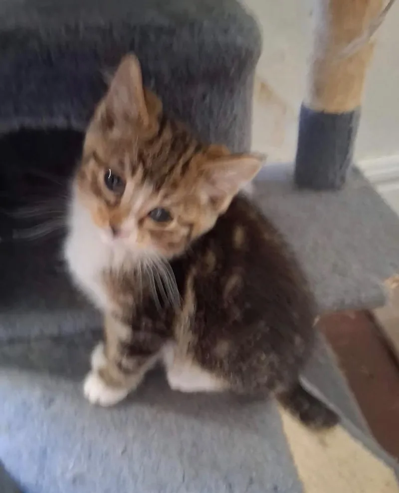 Sonny thumbnail 2