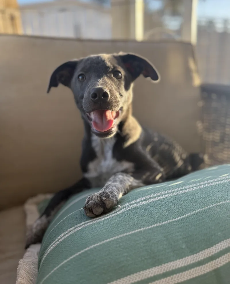 Lena