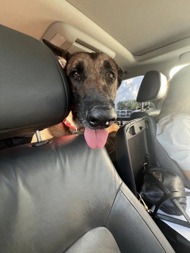 Bolt  Located In thumbnail 3