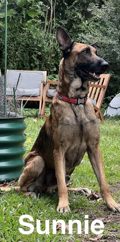 Bolt  Located In thumbnail 4