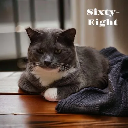 68 thumbnail 2