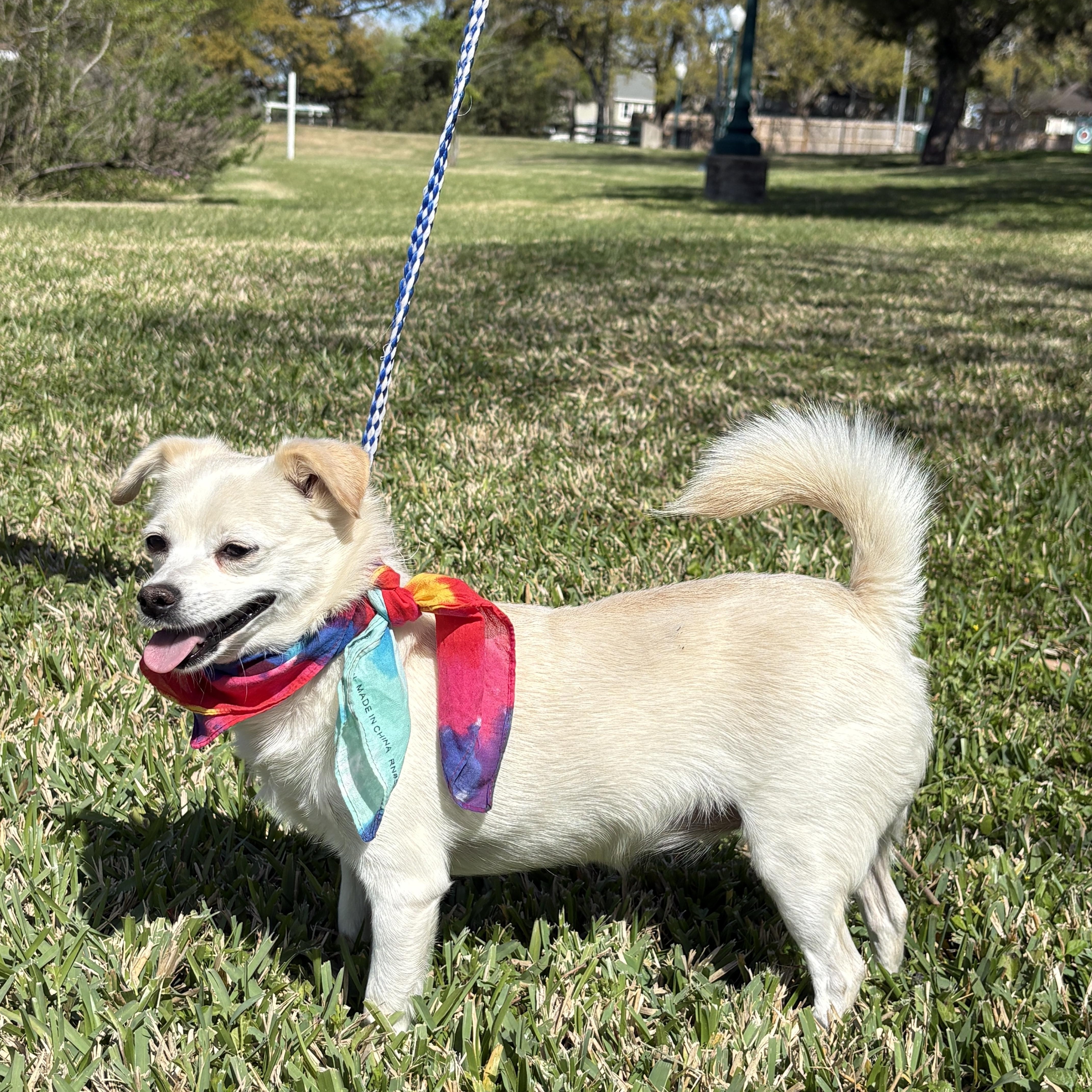 Misty Tiny Lovebug! thumbnail 2