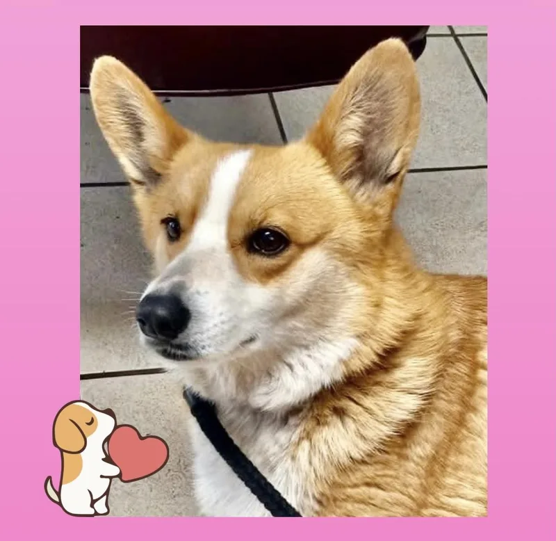 Elizabeth thumbnail 2