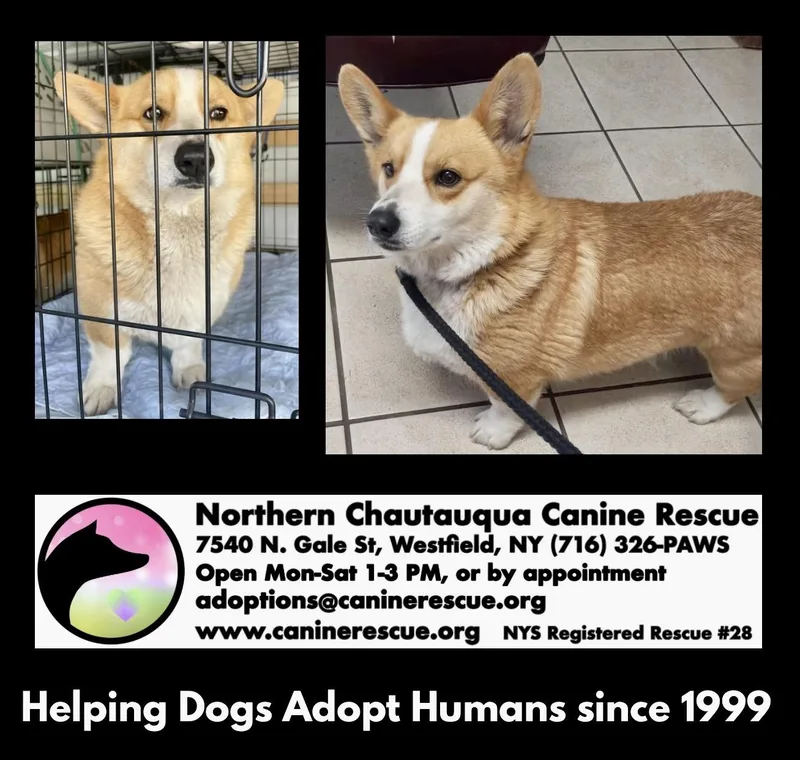 Elizabeth thumbnail 4