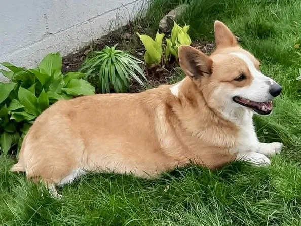 Elizabeth thumbnail 5