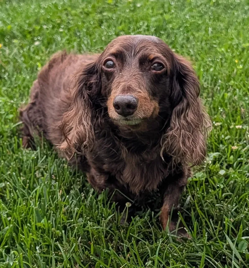Winston Aka Winnie In