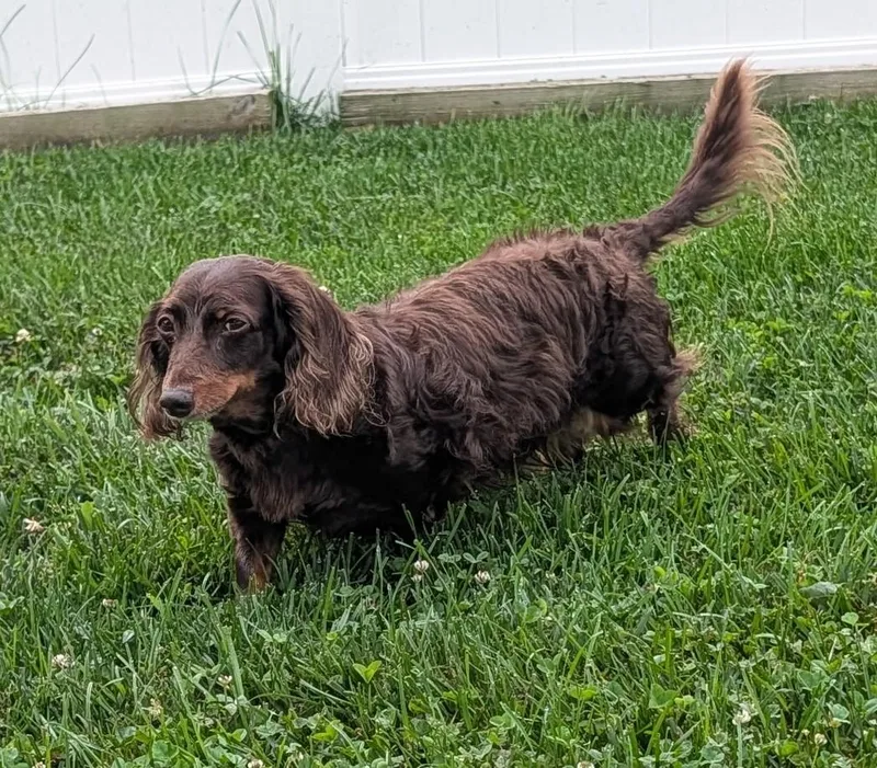 Winston Aka Winnie In thumbnail 2