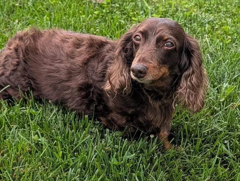 Winston Aka Winnie In thumbnail 3