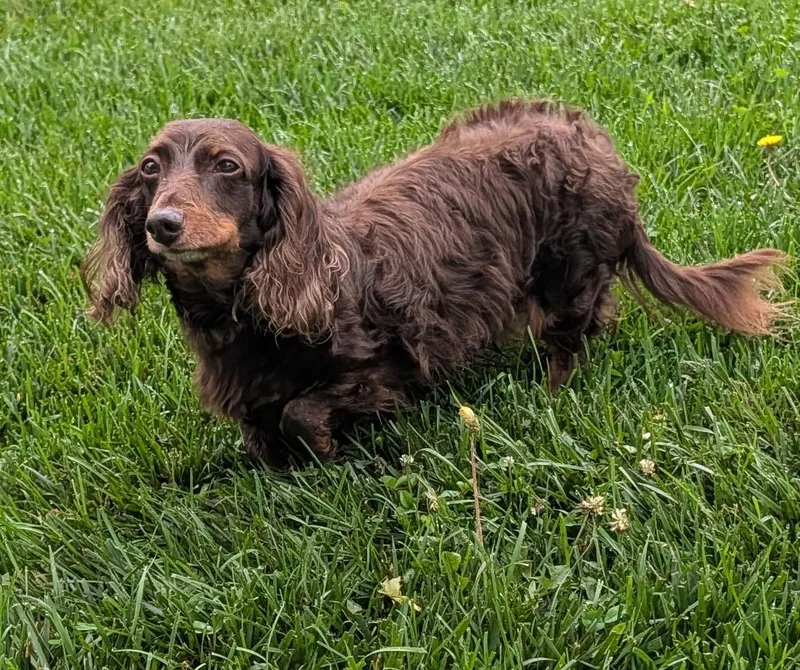 Winston Aka Winnie In thumbnail 5