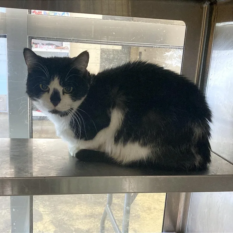 Little One thumbnail 2