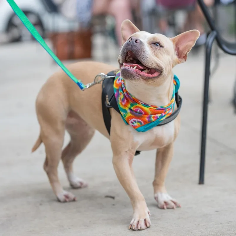 Catherine thumbnail 4