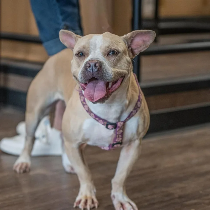 Catherine thumbnail 5