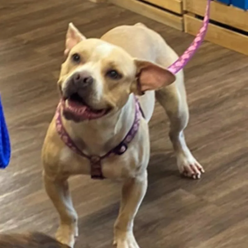 Catherine thumbnail 6