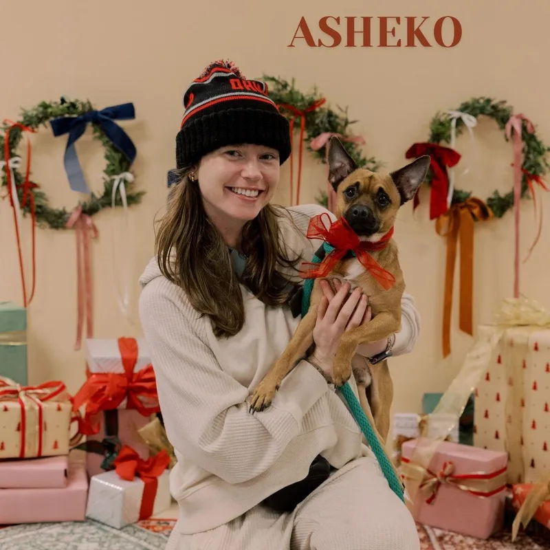 Asheko thumbnail 2
