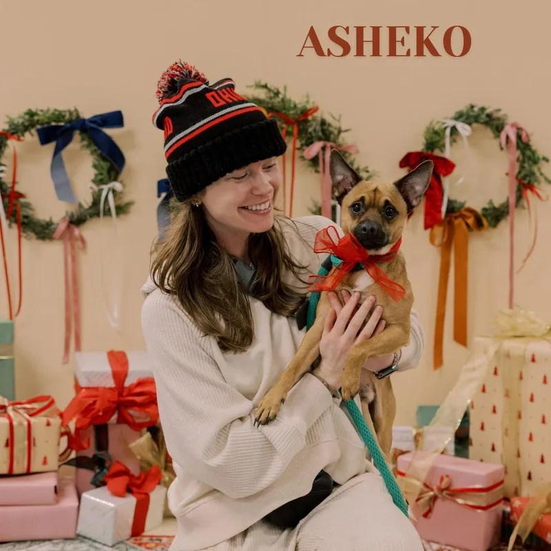 Asheko thumbnail 3