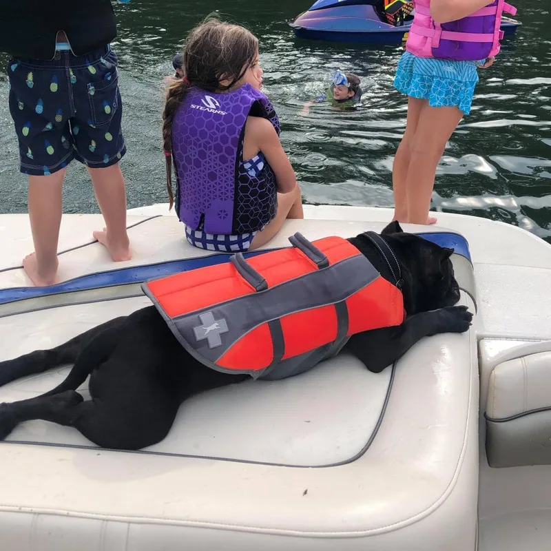 Kong Aka Shorty thumbnail 3