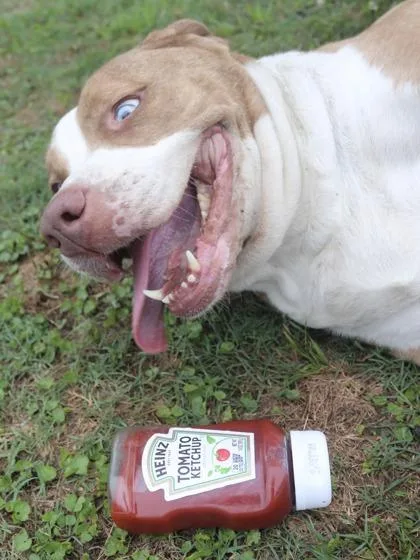 Ketchup