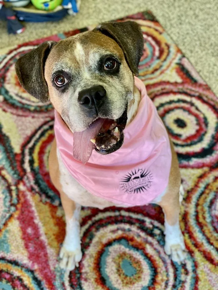 Ebba  Silver Heart thumbnail 2