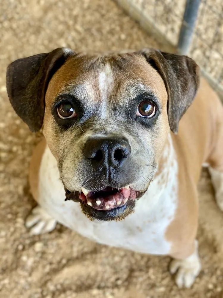 Ebba  Silver Heart thumbnail 3