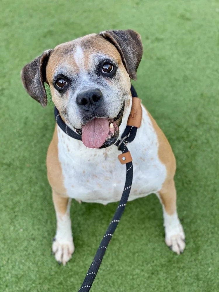 Ebba  Silver Heart thumbnail 4