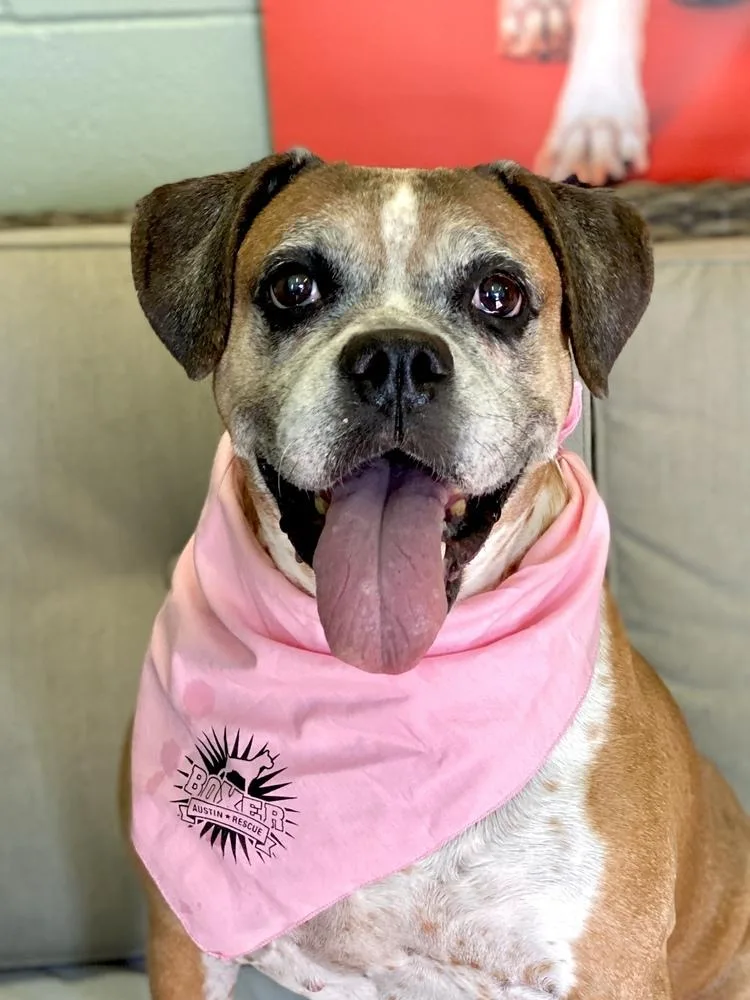 Ebba  Silver Heart thumbnail 5