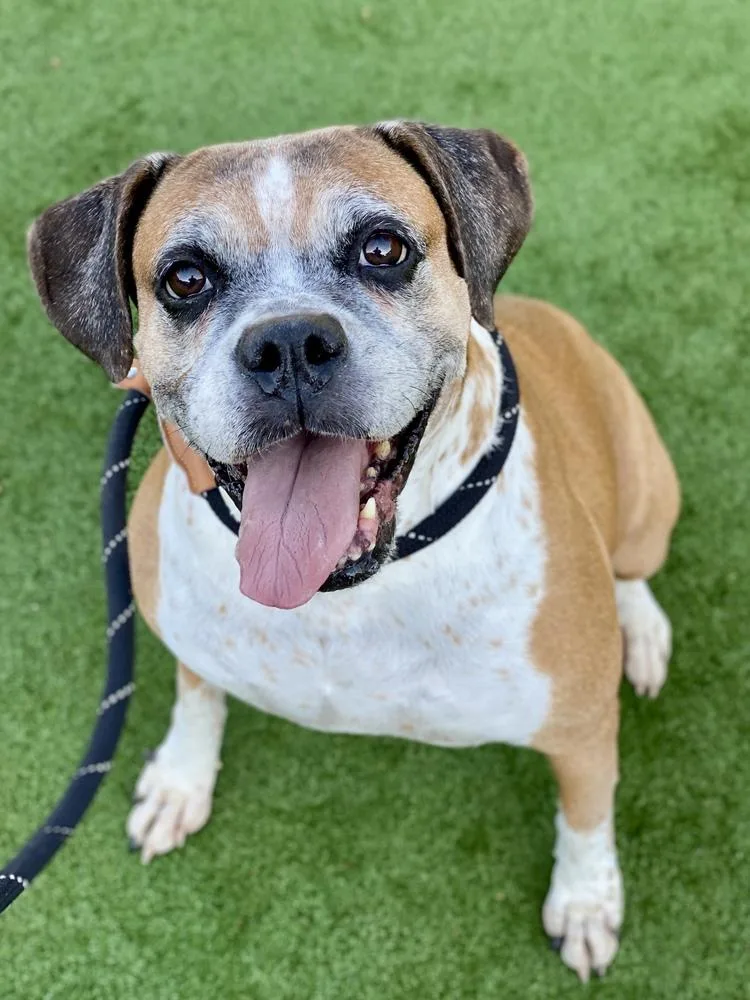 Ebba  Silver Heart thumbnail 6