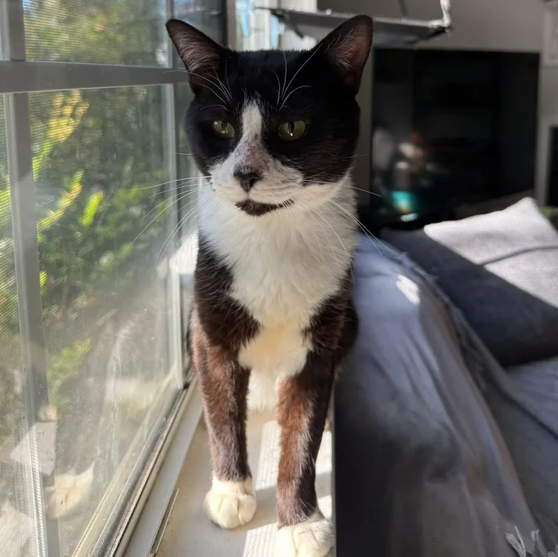 Hubert Jones thumbnail 4