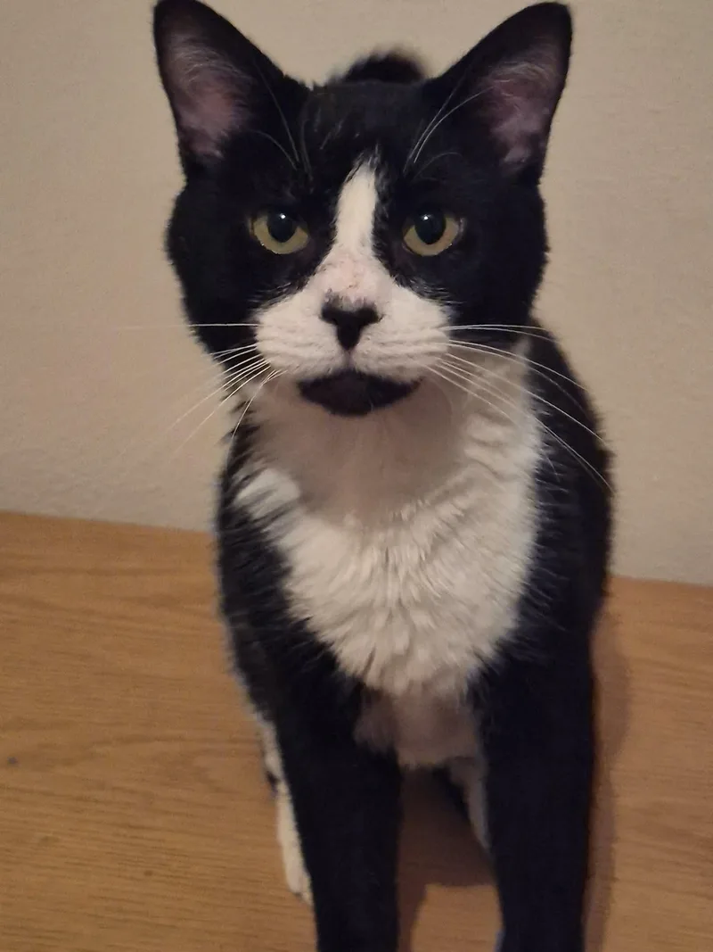 Hubert Jones thumbnail 6