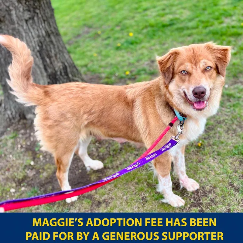 Maggie thumbnail 5