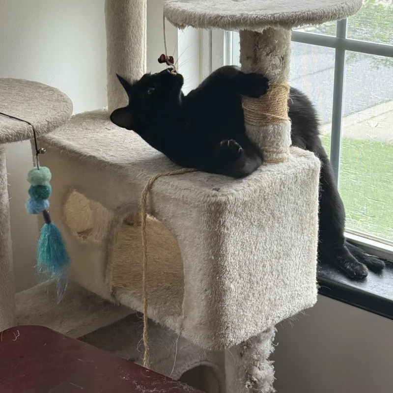 Gretchen thumbnail 2