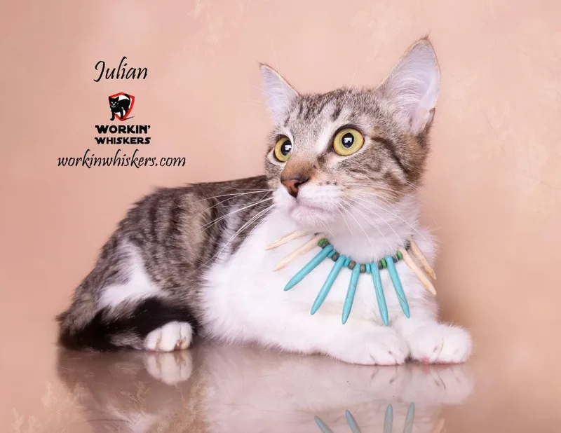 Julian thumbnail 4