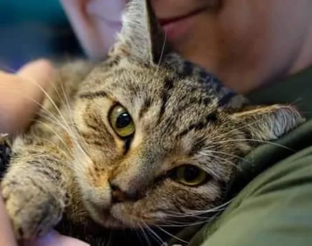 Brandywine thumbnail 6