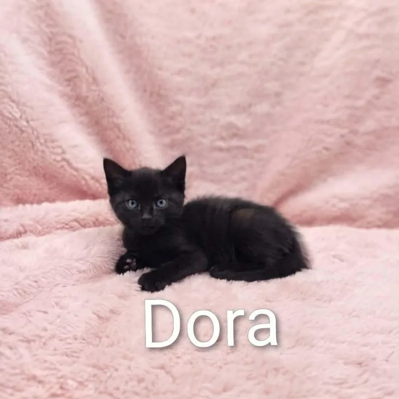 Baby Dora thumbnail 2