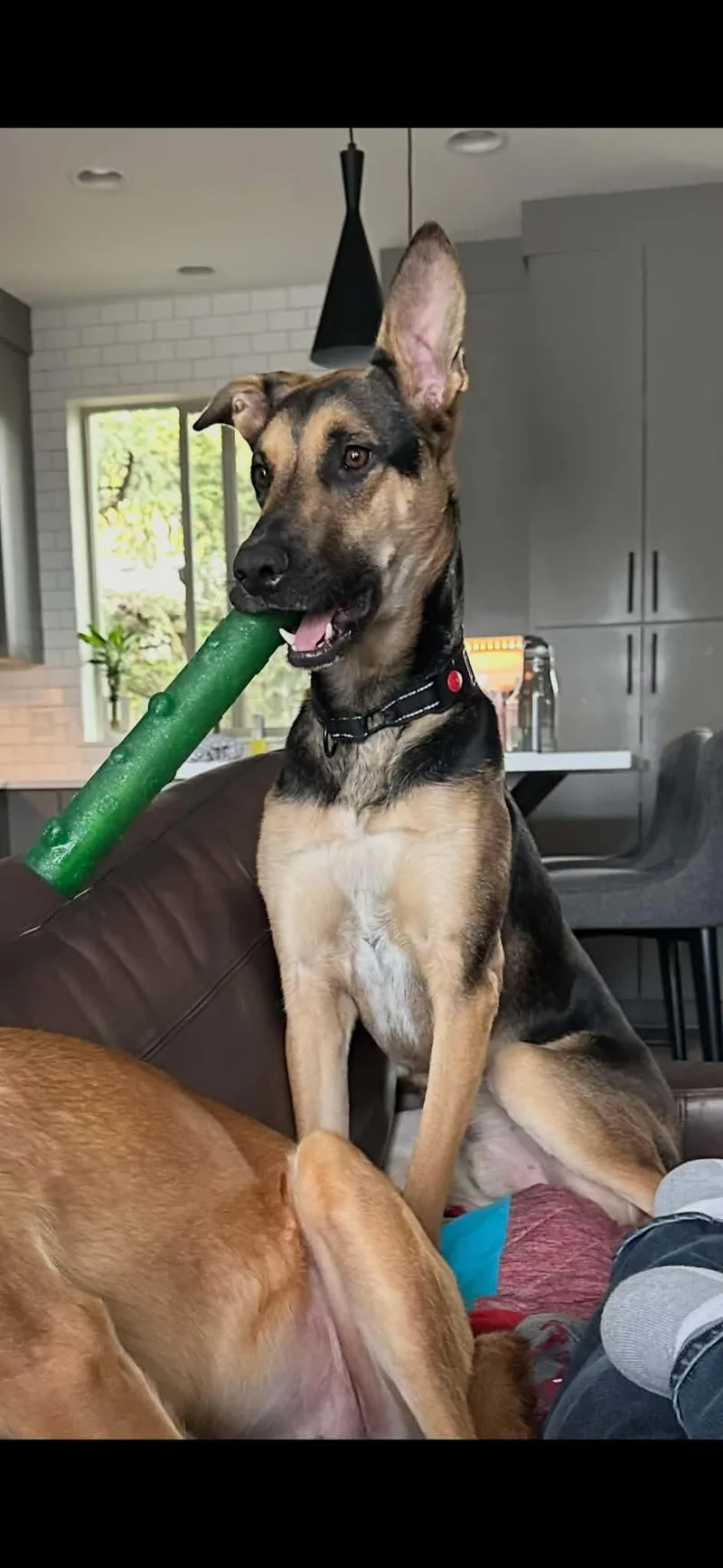 Oliver