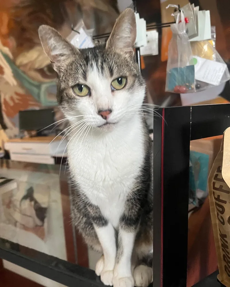 Elle @ Fat Cat thumbnail 3