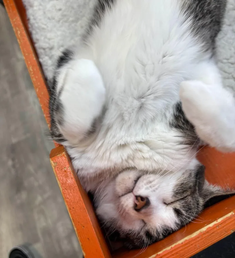 Elle @ Fat Cat thumbnail 4